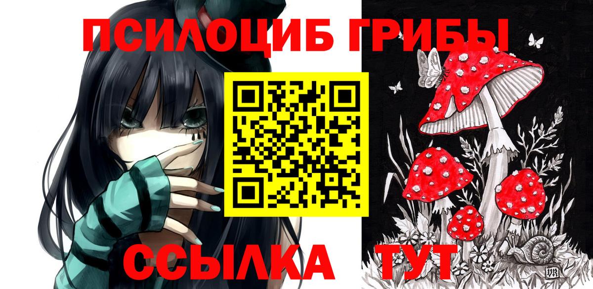 Галлюциногенные грибы MAGIC MUSHROOMS Кирово-Чепецк